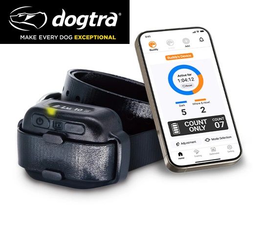 Nuovo collare antiabbaio Dogtra Smart Nobark più accurato di sempre, in grado di rilevare abbaiare